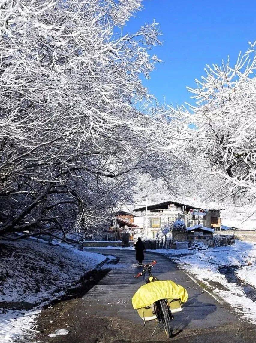 西双版纳旅游攻略必去景点，去嗨皮西藏游｜一起去林芝吧，看看下雪的鲁朗！