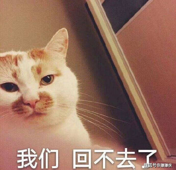 搞笑表情包图片:哎呀,我,你和钱