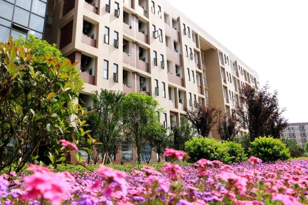 湖南2020年单招学校_湖南音乐舞蹈类单招学校介绍(2)