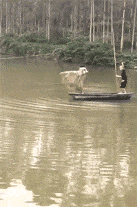 搞笑gif段子编辑说出来你可能不信今天我和一损友竟被一张渔网给弄翻