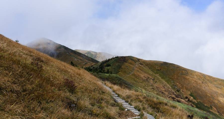 索尼要借美食在厨房搞事情，关乎厨电企业未来的转型方向-家电圈官网