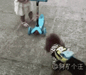 十一去动物园的朋友注意啦,大象原来这么不正经凹凸曼也会砍价!