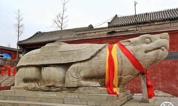 正定开元寺，这里有中国最大的赑屃，超过了历代帝王将相的神道碑