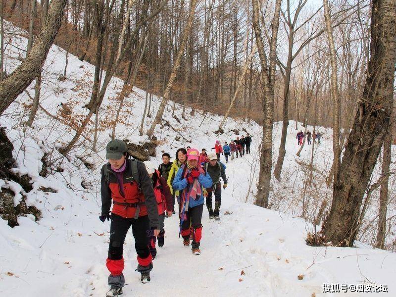 烟波茶馆|草庐一壶酒，人旺雪满山