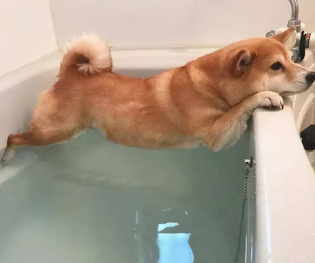 7f183579444b42d0bcbfc1c002b31c9e.jpeg