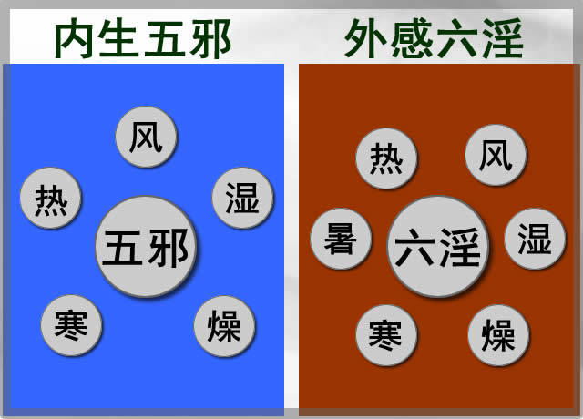 中医所说的风邪是什么为什么说它是百病之首如何防范呢