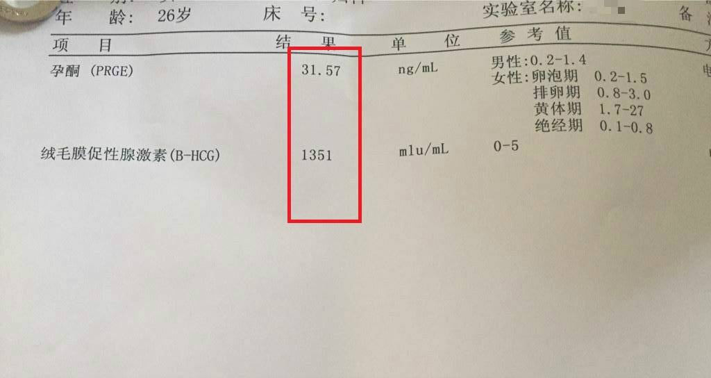 525b08c1ddba482b84f4cb9acbc9308d.jpeg