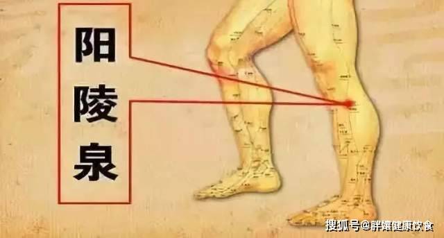 7c10405588634db4985cc42d8cd34225.jpeg