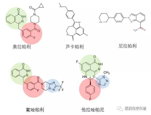 恒瑞医药的氟唑帕利是什么水平?