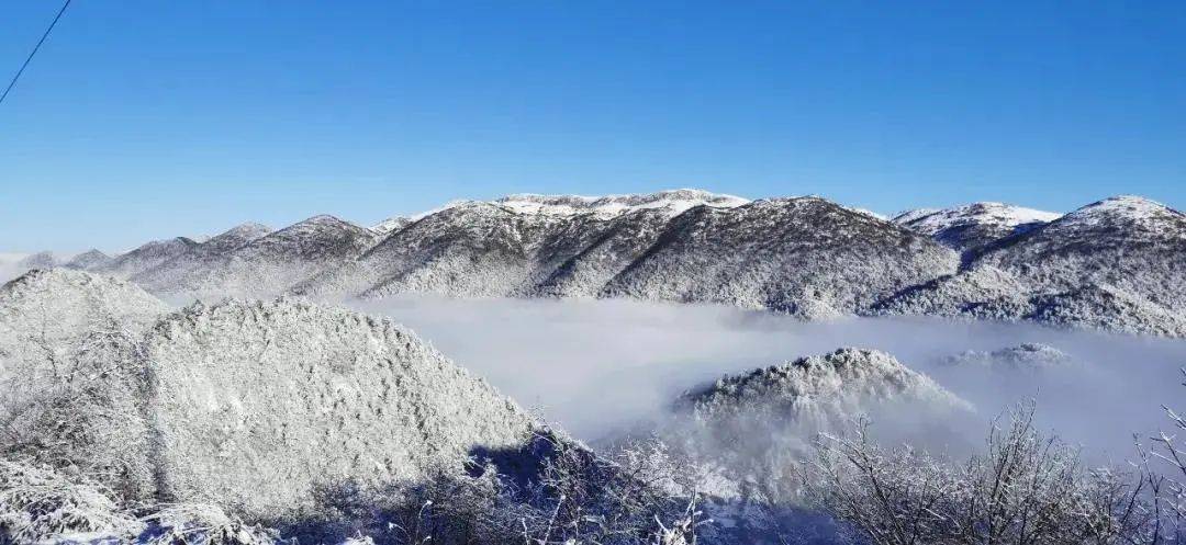 去重庆看雪!云海雪山森林,下山还能泡温泉!