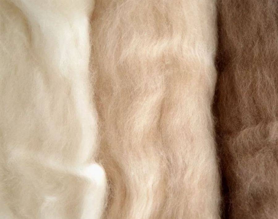 羊绒排行榜_2020十大羊绒衫品牌排行榜(羊绒衫品牌排名大全)