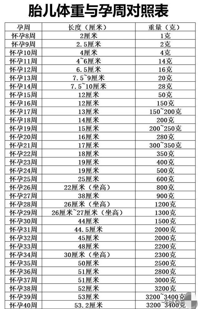 32周的胎儿有多重了?宝妈教你两个公式计算,附孕8个月注意事项