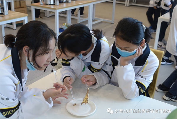 盛兴中英文学校初中部体验文搏3D打印科普研学教