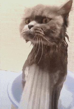 313_463竖版 竖屏gif 动态图 动图