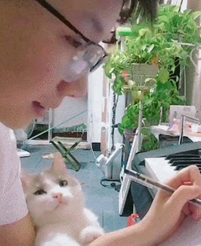 鏟屎官忙著寫東西沒有陪貓玩，貓咪默默爬到主人懷里變成小迷妹，簡直太可愛！ 萌趣萌寵 第3张
