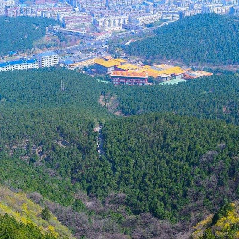 文章配图-2