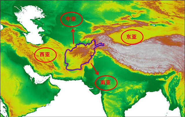 强国总人口_学习强国图片(3)
