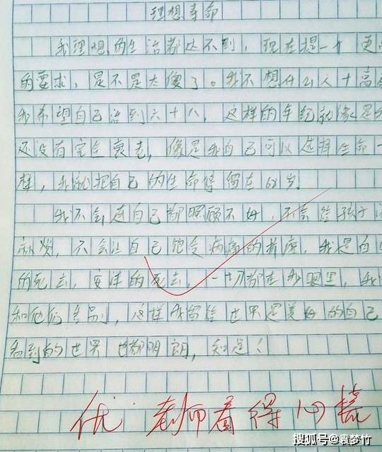 理解父母不容易的作文 8d508f65f3c6448da67e87a0598f8b78.jpeg