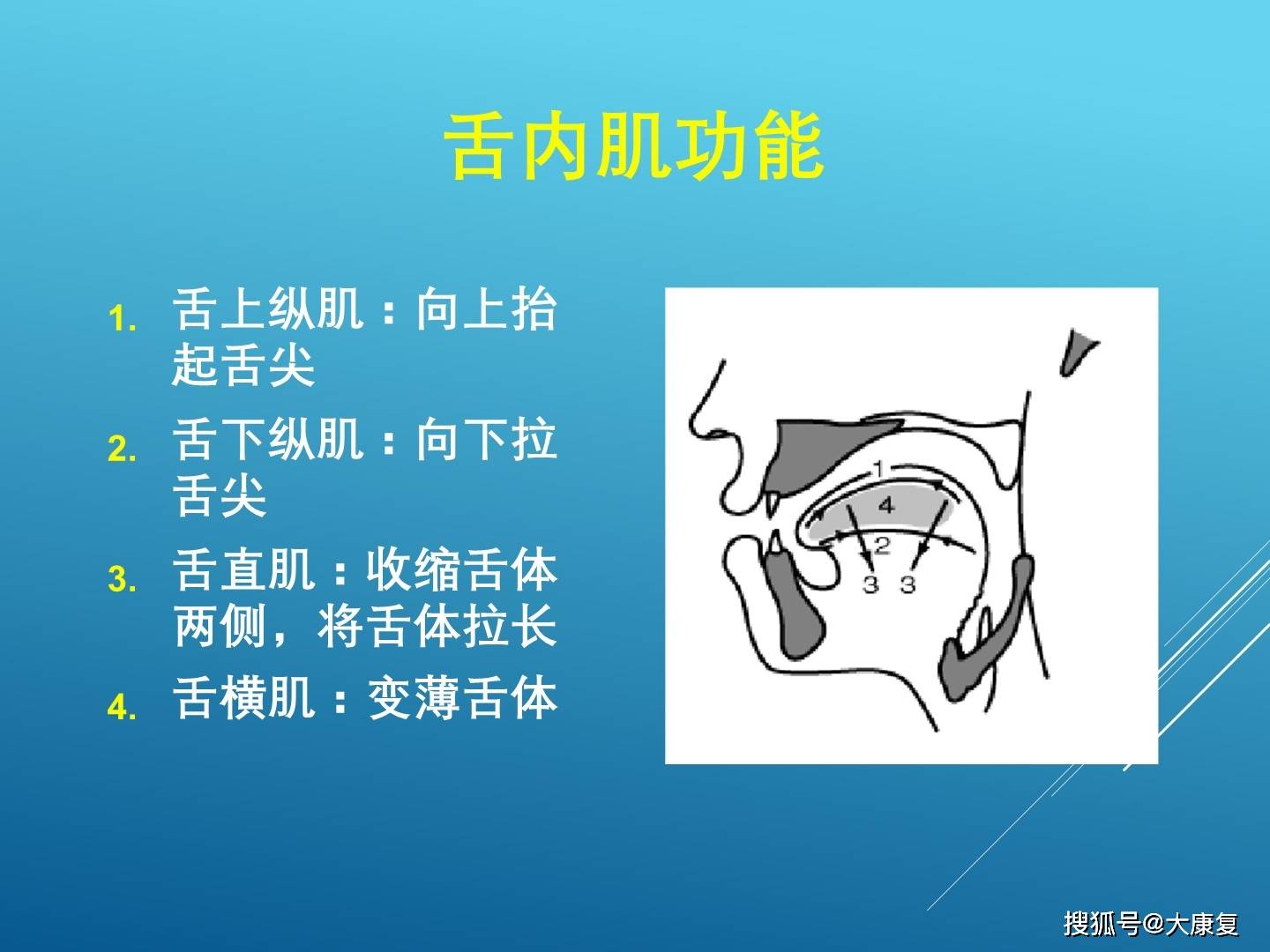 口部运动治疗基础知识