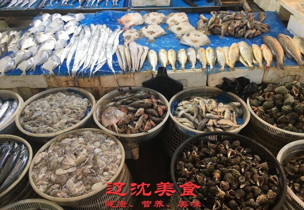 带您逛逛辽南最大的海鲜批发市场,海鱼六元一斤真便宜