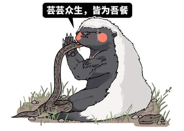 2bb8fcd1a0b642e9887e56b30dbecba6.jpeg