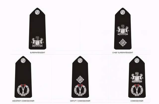 警官是什么警衔 4a250e7f09634a2cb490c7067b366117.jpeg