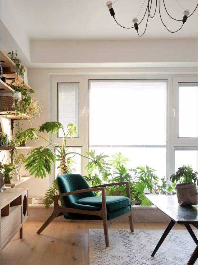 原木风搭配绿植 8c1c0d1fd0d94bda8fb8a7e1283186f7.jpeg