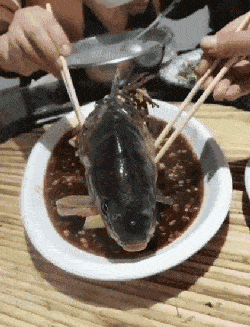 搞笑gif段子刚谈的女朋友我该不该救她啊