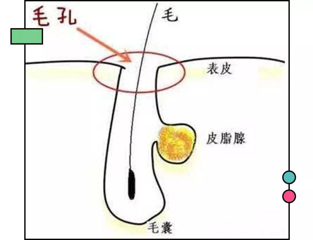 529ff94c160b49f6bc2c8cb08476791f.jpeg