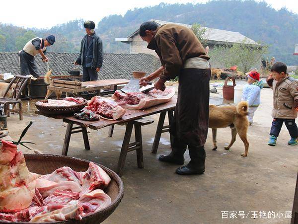 湖北一土家族景区，“杀年猪”成了旅游项目，吸引千余人前来吃饭