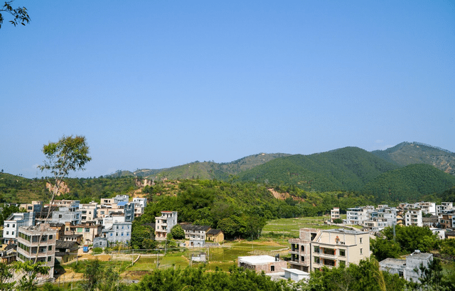 广东茂名人口有多少_广东茂名健康职业学院