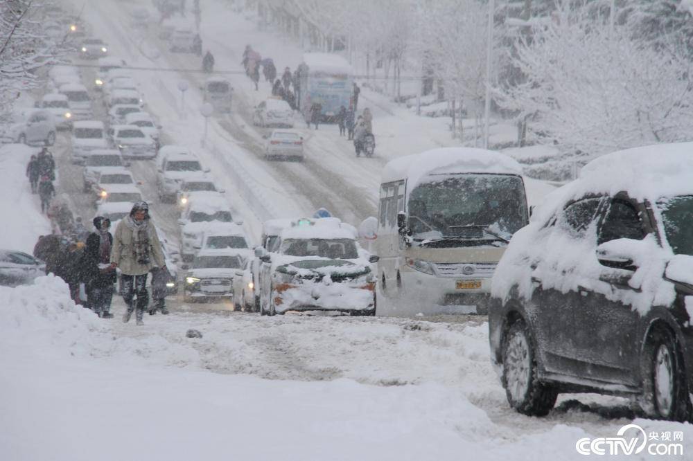 山东威海降暴雪积雪覆盖城市