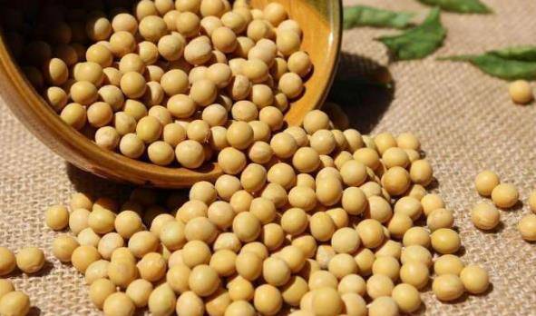 为什么有人不吃蔬菜也没事 93f046292b0248409ffc986623f51773.jpeg