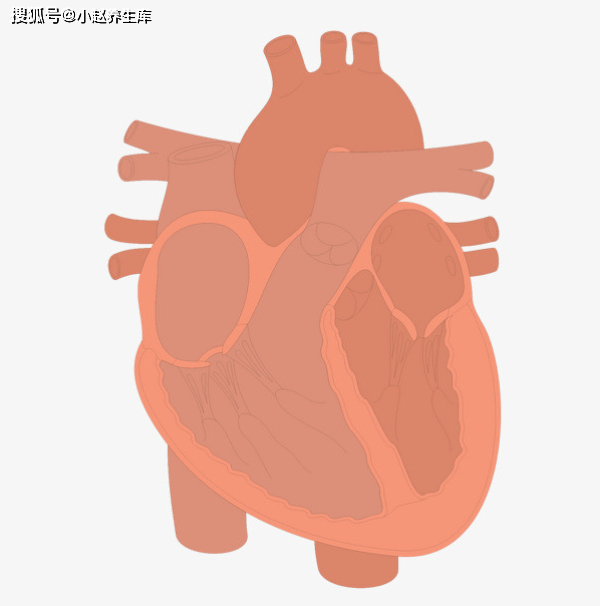 c7ffbed48ee7406da8fcbcc204527ab0.png