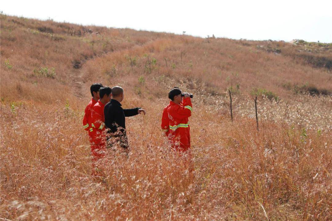 开远市多少人口_开远市风景图片