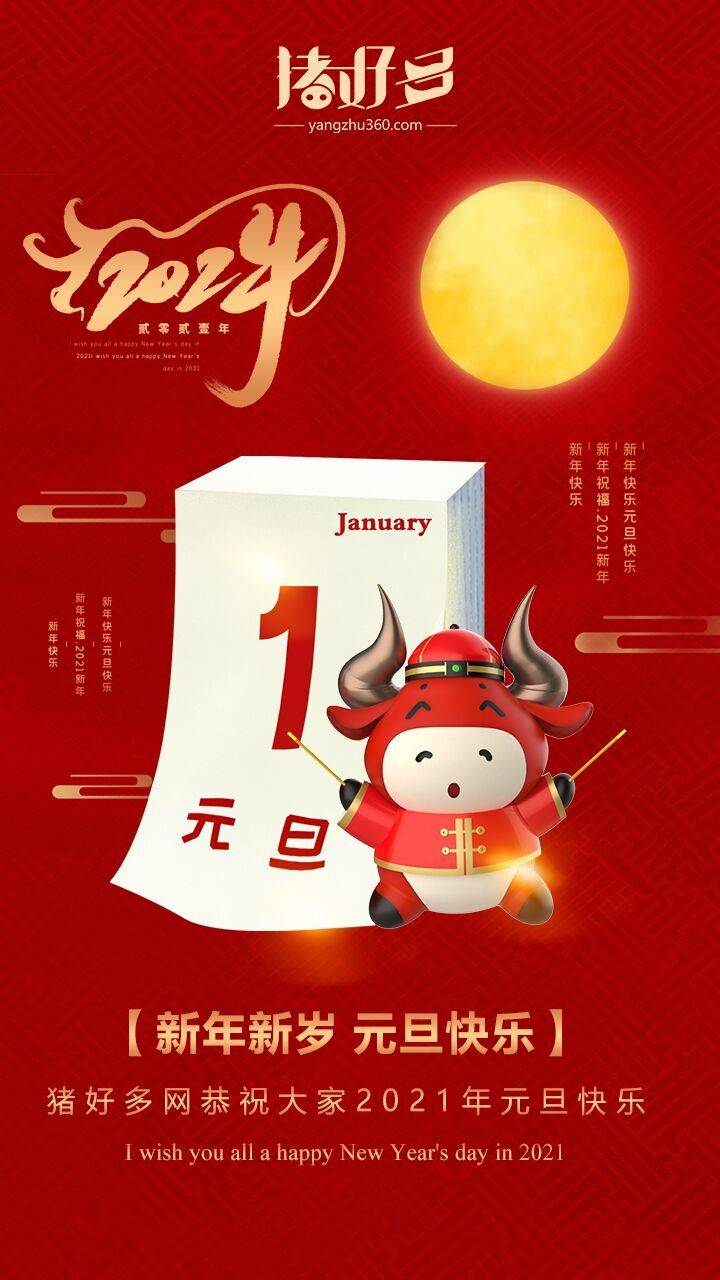 回首2020有感慨有骄傲,展望2021有挑战,有期待!