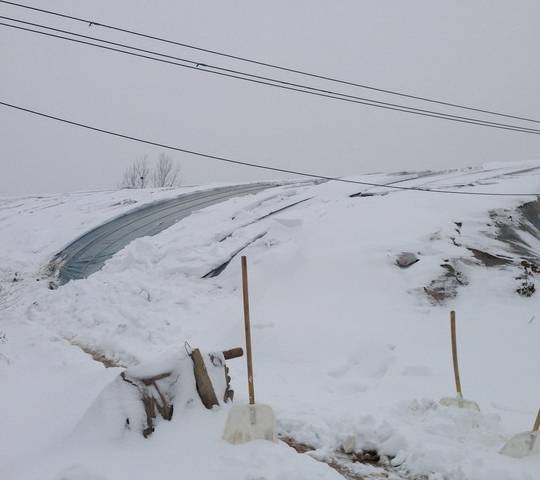 温室大棚遇见大雪天不用怕,了解这些管理方法就可以了