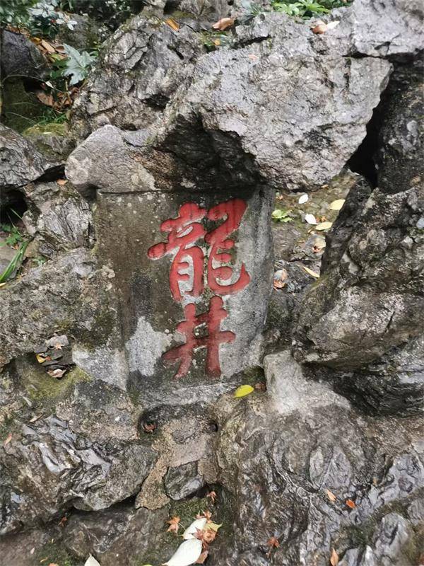 探寻江南文化：千年西湖龙井旧事