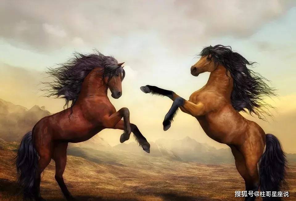什么叫水马 0f1d5286a876492db5e65ab2d677a43c.jpeg