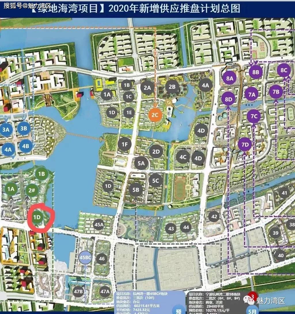 杭州湾新区 2021 GDP_杭州湾新区