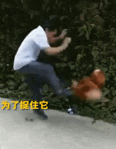 搞笑gif段子8这孩子绝对是个意外孩子你很不行呀没想你是你父母结合的
