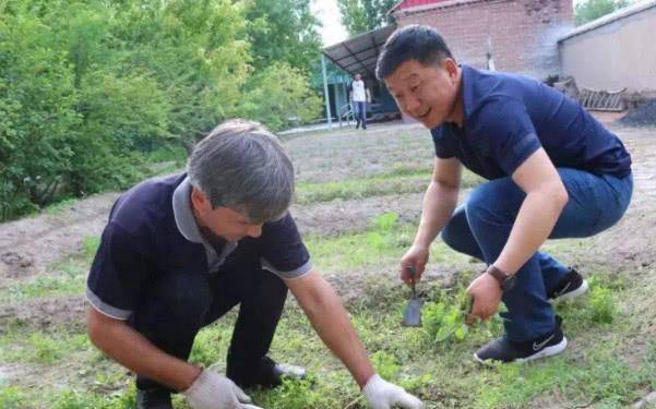 草什么门成语_草什么花什么成语(3)