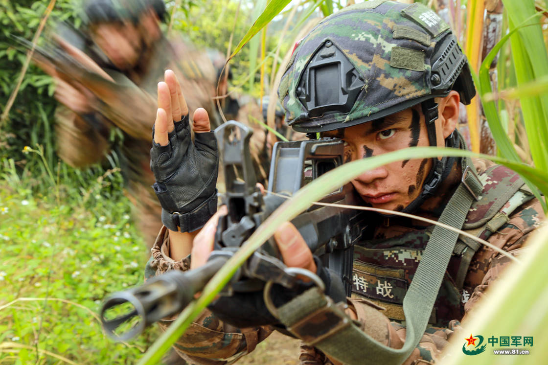 武警河池支队的特战队员在陌生丛林环境中展开战术训练