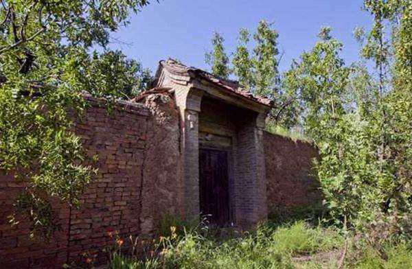 草什么门成语_草什么花什么成语(2)