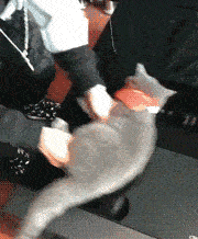 搞笑gif段子:敢影响我睡觉,就是这个下场_老头