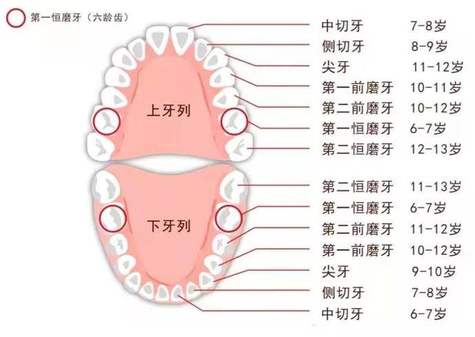 2cbcc7700bdd4c47b5abc819de7b0d44.jpeg