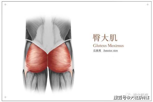 有些人活着屁股却死了打工人你听说过死臀综合征吗