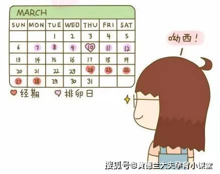 排卵试纸检测法。