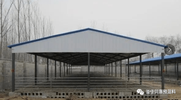 羊圈建设费用成本