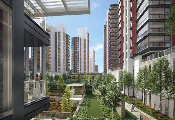 �����߼������������й����� | ר��RSHP�ϻ���Richard Paul